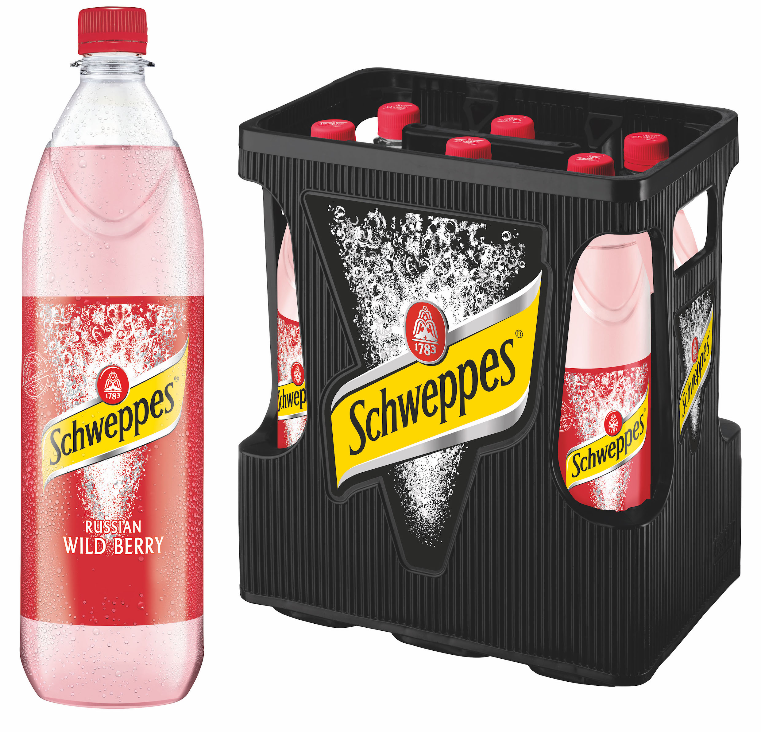 Schweppes Russian Wild Berry 6x1l MW