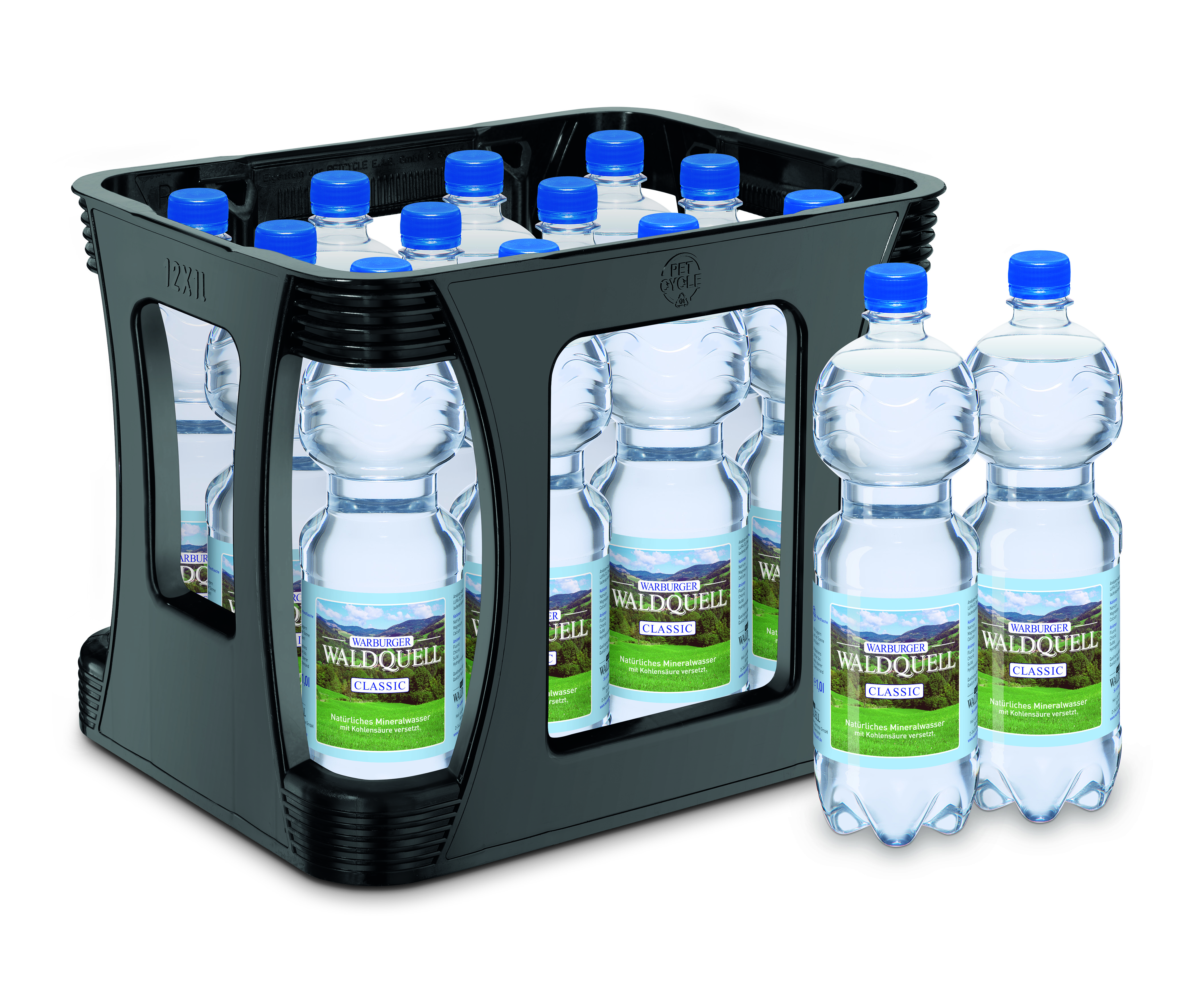 Warburger Waldquell Classic 12x1l (PET) MW