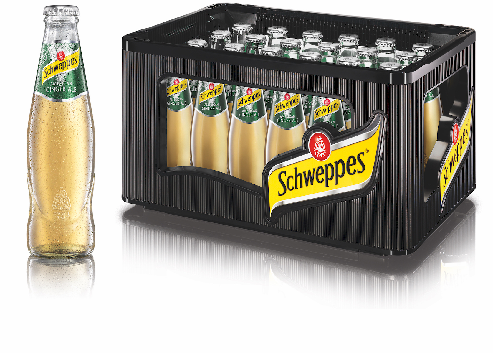 Schweppes American Ginger Ale 24x0,2l MW