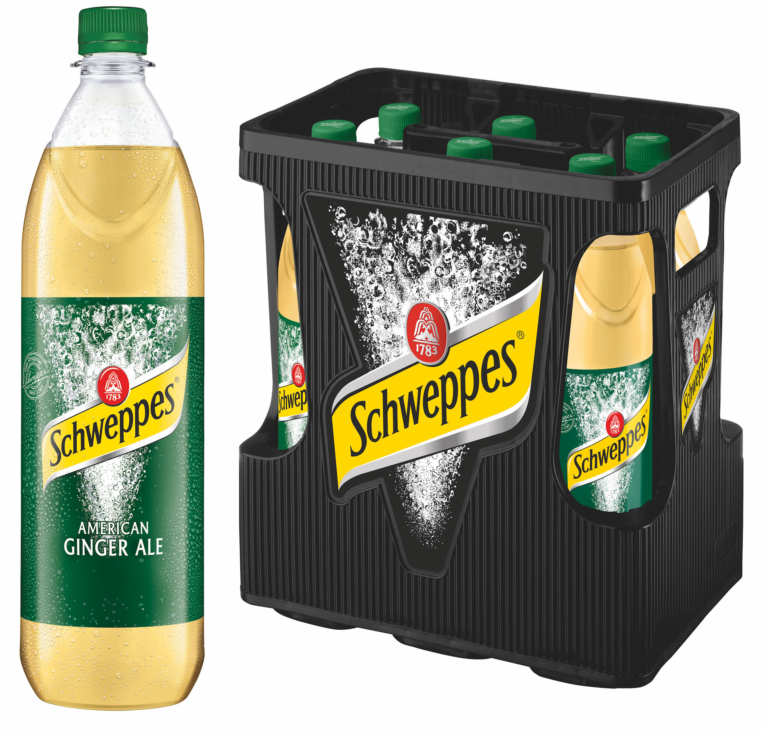 Schweppes American Ginger Ale 6x1l MW